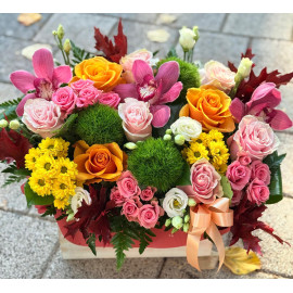 Aranjament colorat AOR86